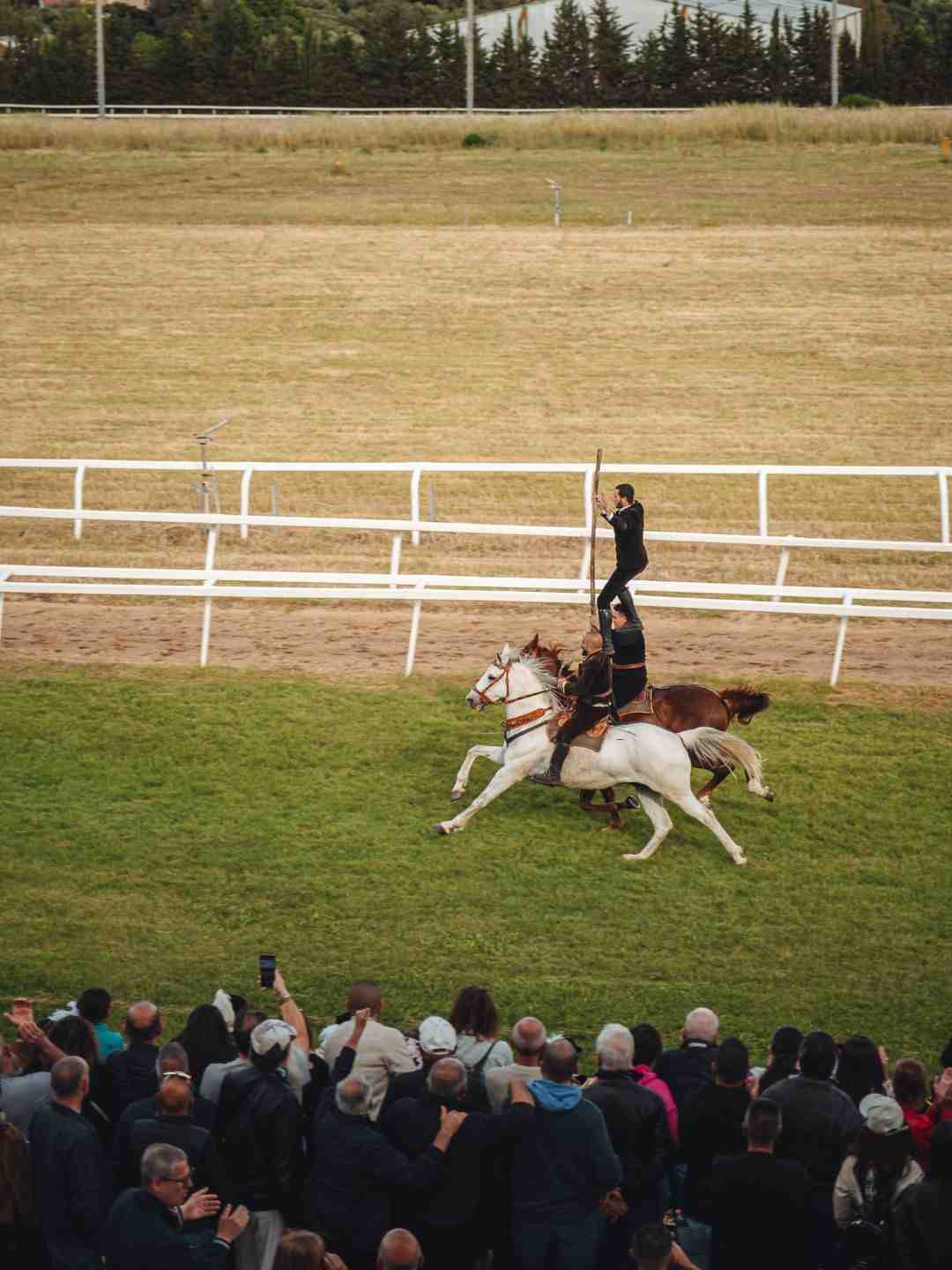 pariglie-cavalcata-sarda-sassari