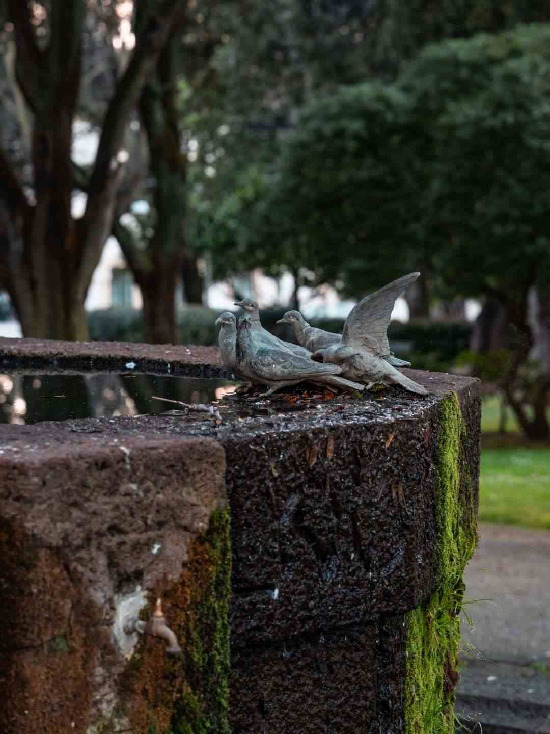 Piccioni in pietra su una fontana nei Giardini Pubblici a Sassari