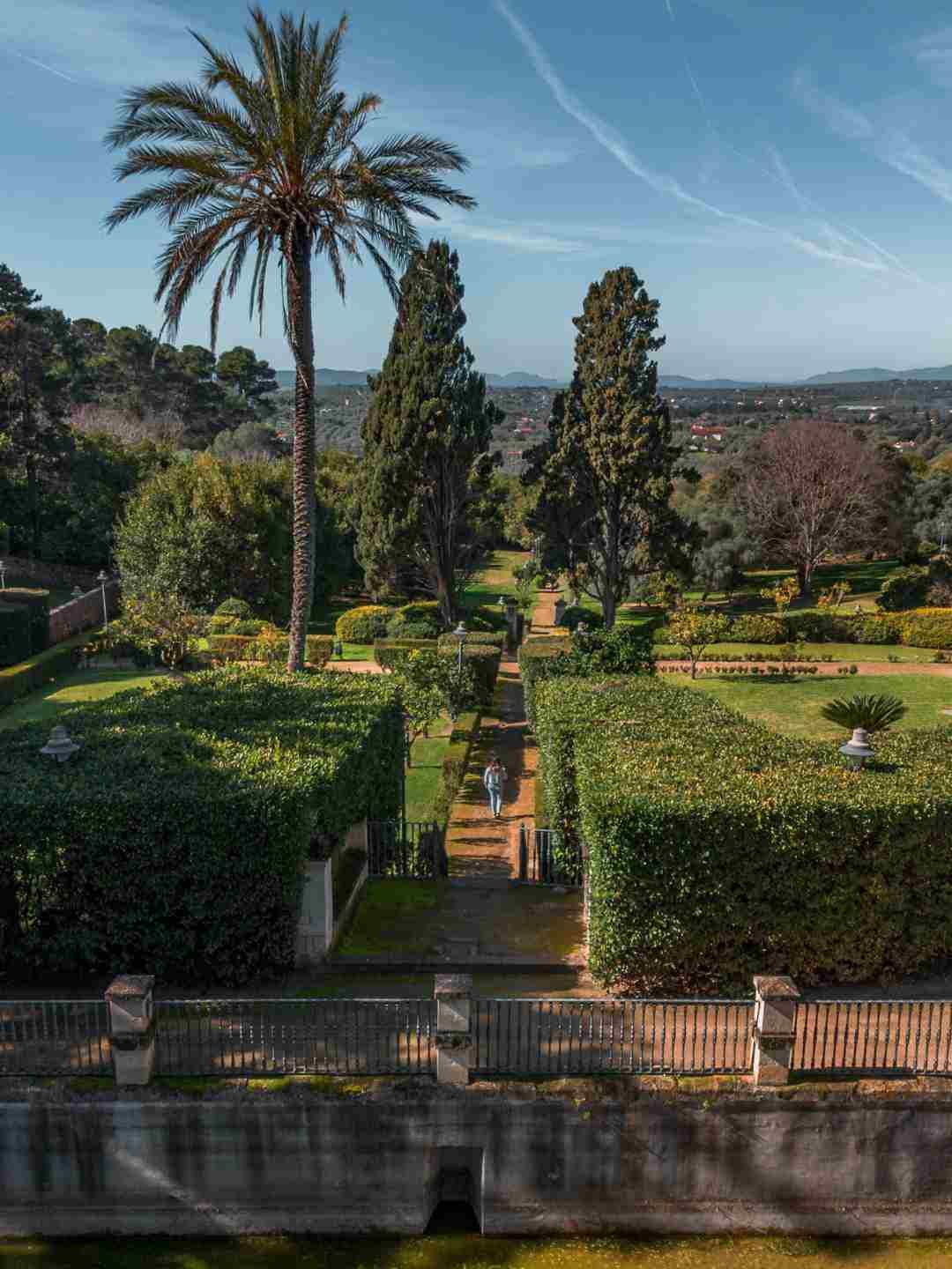 Palme nel Parco di Monserrato a Sassari