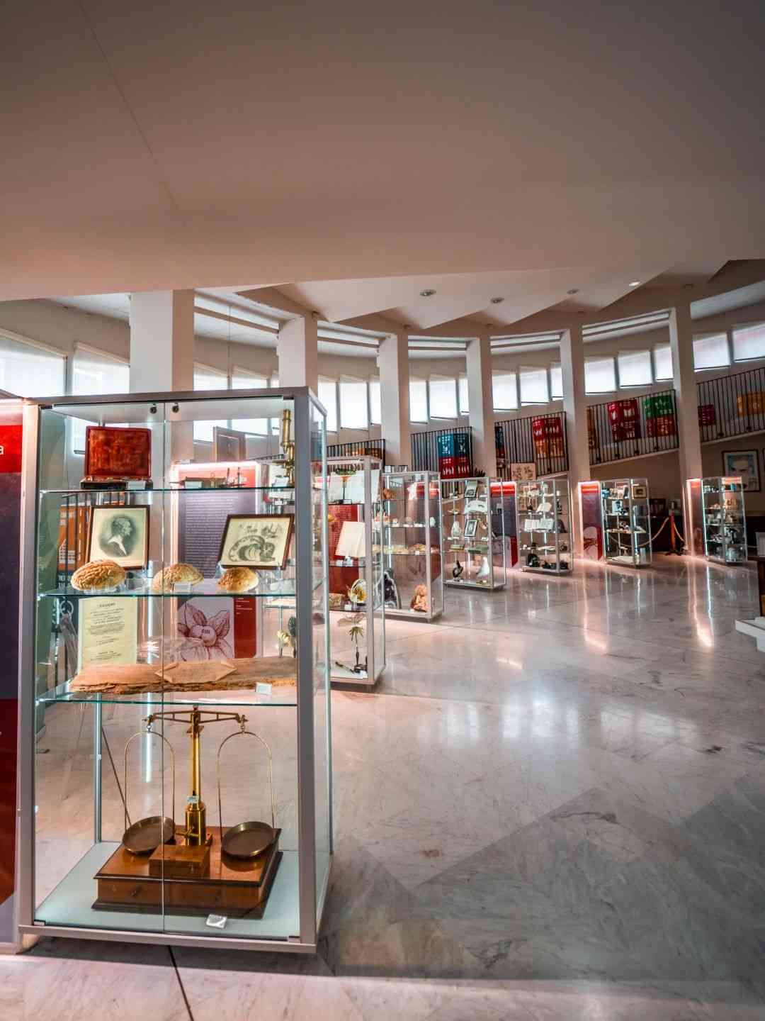 Sala interna del Museo Scientifico a Sassari