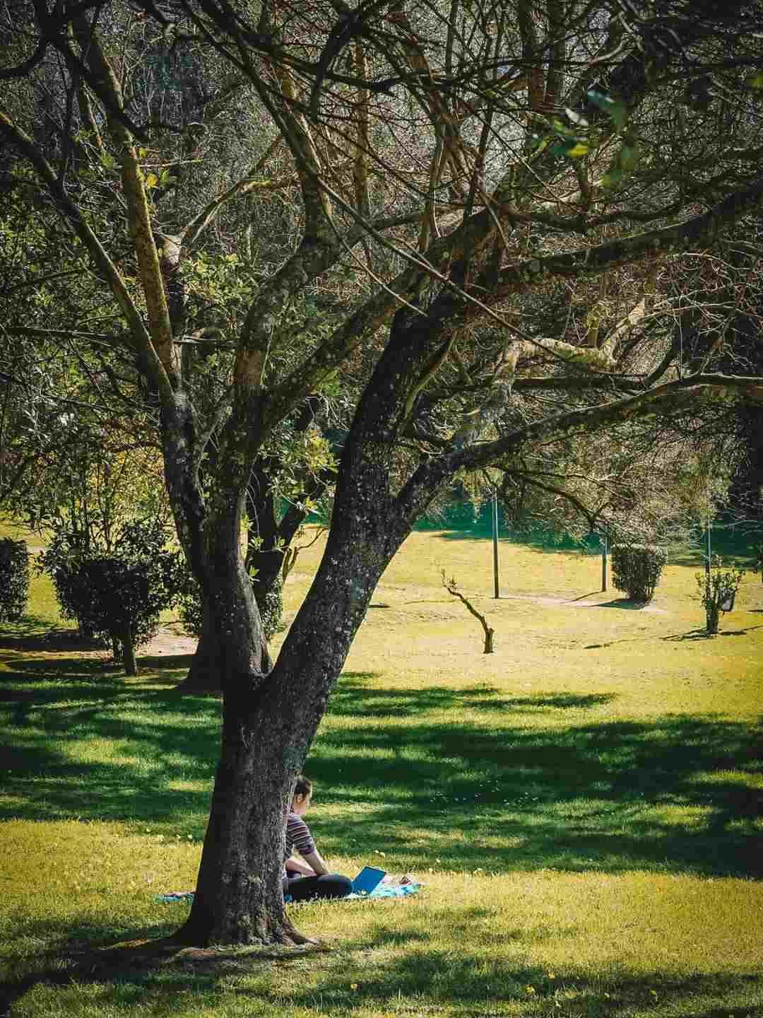 Ragazza legge nel Parco di Monserrato a Sassari