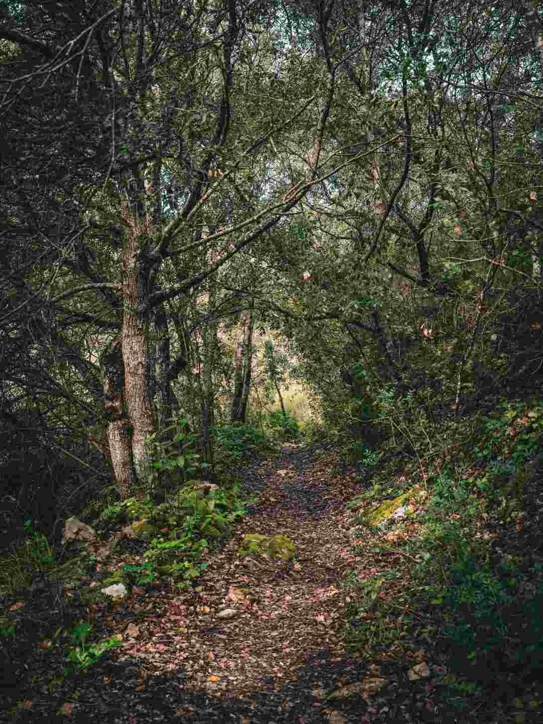 Valle di Logulentu a Sassari