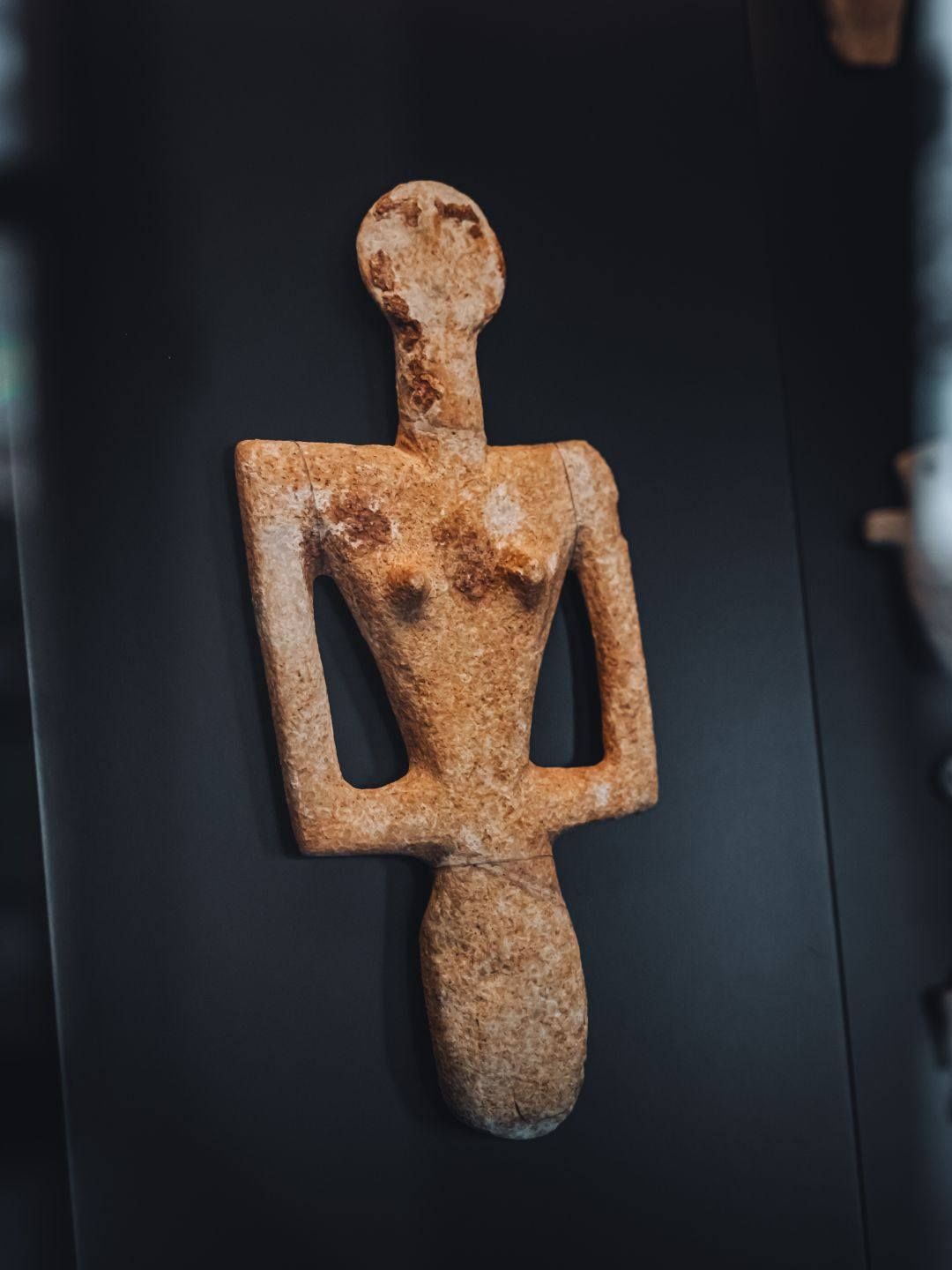 Musei e Spazi Culturali